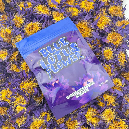 Blue Lotus Flower - Blue Dream Tea UK