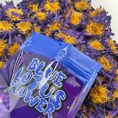 Blue Lotus Flower - Blue Dream Tea UK